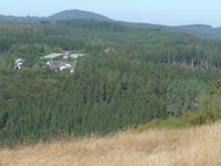 Grafenwald von Gemünden