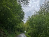 Gralingen von Maarkebaach