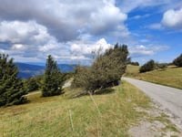 Col du Grand Ballon da Buhl