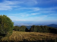 Grosser Belchen