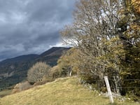 Grosser Belchen