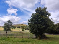 Col du Grand Ballon from Kruth