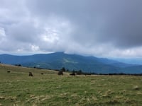 Grosser Belchen von Soultz