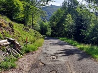 Col du Grand Ballon from Moosch