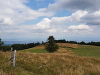 Col du Grand Ballon da Willer-sur-Thur