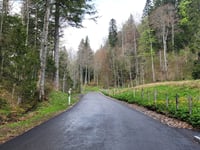 Grand Bonavau da La Tour de Peilz