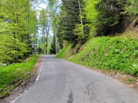 Grand Bonavau da La Tour de Peilz