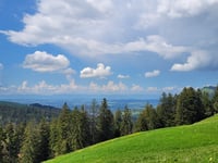 Grand Bonavau da La Tour de Peilz