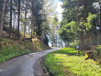 Grand Bonavau da La Tour de Peilz