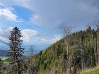 Grand Bonavau da La Tour de Peilz