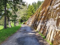 Grand Bonavau da La Tour de Peilz