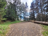 Grand Bonavau da La Tour de Peilz
