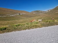 Gran Sasso d'Italia / Campo Imperatore from Bazzano