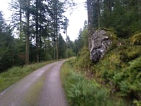 Grand Ventron von Cornimont