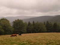 Grand Ventron von Cornimont