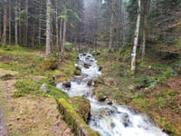 Grand Ventron von Cornimont