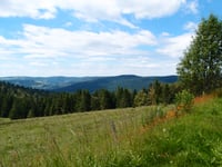 Grand Ventron von Cornimont