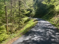 Grand Ventron da La Bresse via Col de la Vierge
