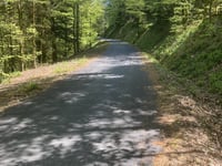 Grand Ventron da La Bresse via Col de la Vierge