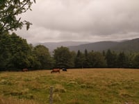 Grand Ventron von Le Gros Pré