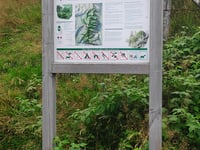 Grand Ventron von Le Gros Pré