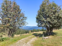 Grand Ventron von Le Gros Pré