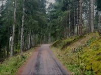 Granziensiefen von Oleftalsperre