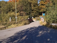 Grasbos / Poggio van Diest