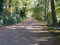 Grasbos / Poggio van Diest