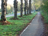 Grebbeweg von Rhenen