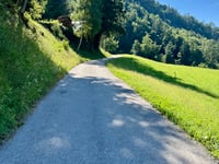 Greiterhof von Meran / Merano