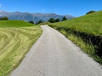 Greiterhof von Meran / Merano
