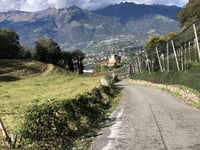 Greiterhof von Meran / Merano