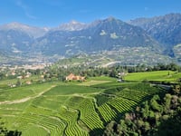 Greiterhof von Meran / Merano