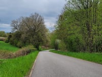Grentebierg von Rippig