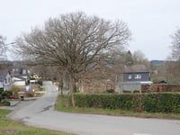 Greppstrasse von Roetgen