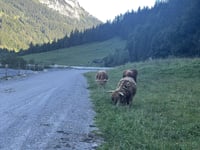 Griesalp z Reichenbach im Kandertal