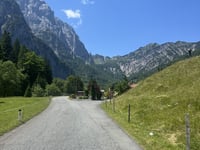 Griesner Alm von Griesenau