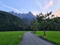 Griesner Alm von Griesenau