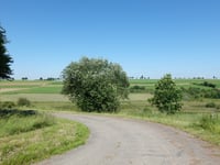 Grindhausen von Irbich