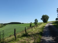 Grindhausen von Irbich