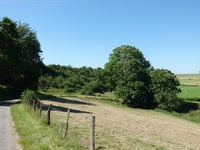 Grindhausen von Irbich
