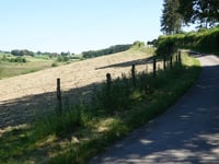Grindhausen von Irbich