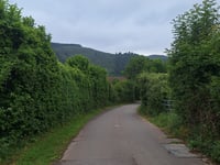 Gringleeswee von Michelau