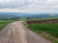 Gringleeswee von Michelau