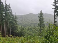 Grinllwm von Trefriw