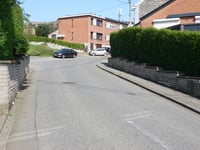 Gris Chevris von Verviers