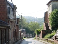Gris Chevris von Verviers
