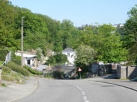 Gris Chevris von Verviers