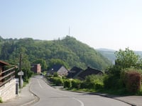 Gris Chevris von Verviers